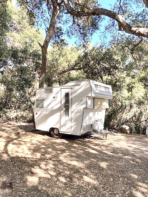 Vintage trailer parked under oak trees